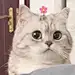 论风尘·