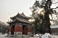 FUHAO_HUANGXING采集到【场景】东方建筑-寺-塔-楼-阁