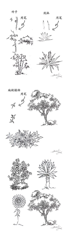 清翎er采集到景观手绘