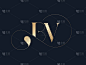 BV字母组合的标志。字母缩写。