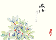 vie_life采集到花卉