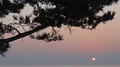 祝福战友们、鹰友们、快快乐乐每一天。
