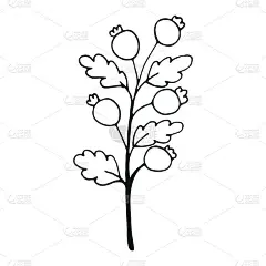 手绘花卉涂鸦元素的照片册装饰