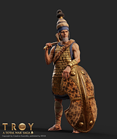 随时一本正经采集到全面战争Total War