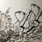 点击查看下一张
