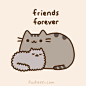 Pusheen the cat : =＾● ⋏ ●＾= Meow! I am Pusheen the cat. This is my blog. (more...)