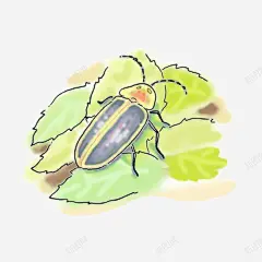 卡通水彩萤火虫 免抠png 设计图片 免费下载 页面网页 平面电商 创意素材