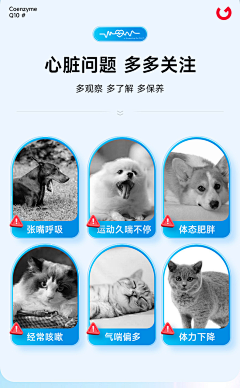 刘刘刘1111采集到食品