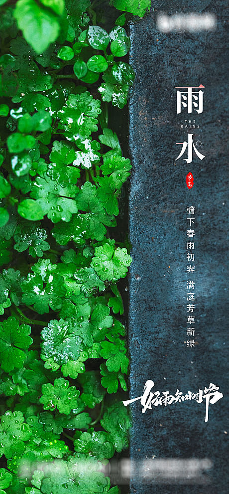 雨水海报