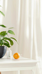 a potted plant sitting on top of a white table, by Julian Allen, a orange on the table，cozy and peaceful atmosphere, banner, product photography, family friendly, aleksandra waliszewska, serene smile, nebulizer equipment, quiet and serene atmosphere, eleg