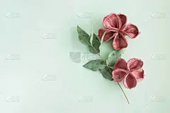 花朵组成由粉红色的干花和桉树枝在蓝色的背景。平躺，俯视图。本空间