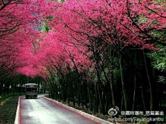 李悠游采集到风景