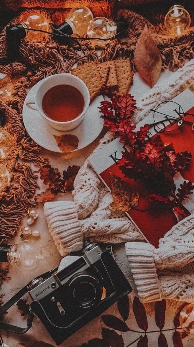 a cup of tea, camera...