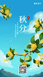 白露插画手机海报-2