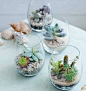 Succulent Wedding/ Party Favors or a cute way to share cuttings from your unruly succulents with friends