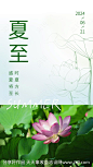 夏至海报-源文件-志设网-zs9.com