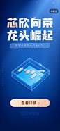 涨乐 芯片