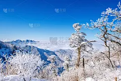 在韩国，雪山山脉被冬季的晨雾所覆盖。