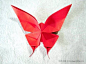 折纸蝴蝶的制作相对比较简单，造型上非常的优雅并且具有极好的伸展感，www.63diy.com这个折纸蝴蝶在后翅的尾部有一个延伸出来的结构，是一个折纸的凤蝶。 #手工# #DIY#