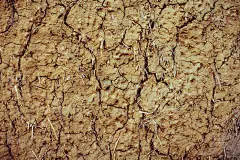 纹理,粘土,破碎的,碎屑,泥,水,褐色,水平画幅,沙子,泥土