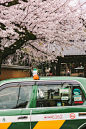 a green taxi cab driving past a cherry blossom tree