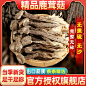 鹿茸菇干货正品官方旗舰店新鲜高山商用云南菌精品特产非野脆菇级-tmall.com天猫