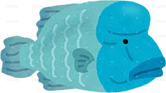 苏眉鱼拿破仑鱼手绘卡通插画手绘png儿童插画免扣素材