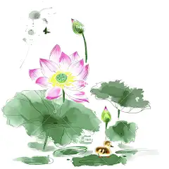 荷花唯美清新荷叶荷塘手绘插画