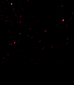鞭老师采集到GIF