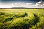 Photograph Summer Breeze by Benjamin Butschell on 500px