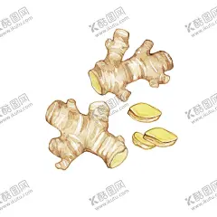 手绘彩色蔬菜免扣素材图片 【酷图网】生姜,姜,青菜插画,蔬菜插画,手绘蔬菜,手绘青菜,健康饮食,果蔬,蔬菜,水果,饭菜,绿色蔬菜,食物手绘,小清新,素材,美食,餐饮,手绘,食材,插画,火锅食材,食物,光盘行动,拒绝浪费,光盘,公益,宣传,卡通,PNG,免抠,免抠图,抠图,元素,透明,蔬菜素材,蔬菜沙拉,沙拉,有机蔬菜,天然,健康