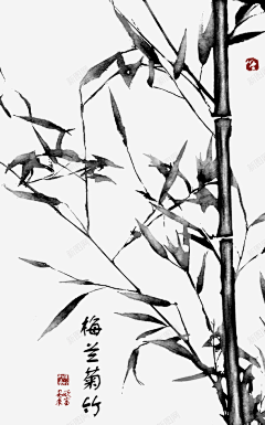 辣条子哎呀采集到白描