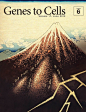 日本科学杂志《Genes to Cells》(基因到细胞)封面设计，生物科技与浮世绘的联姻，让人耳目一新。