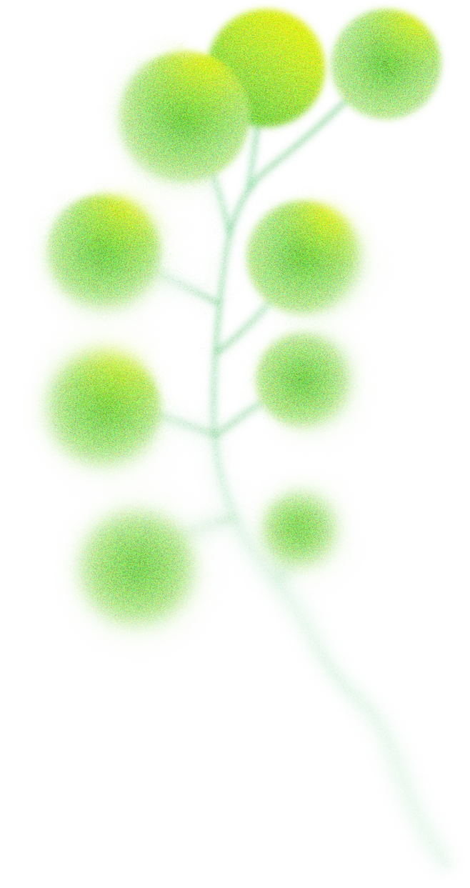 绿色梦幻植物插画唯美叶子彩色圆形渐变手绘...