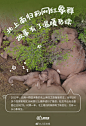 @人民日报 的个人主页 - 微博