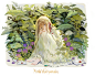 Violet Evergarden
id=66776549