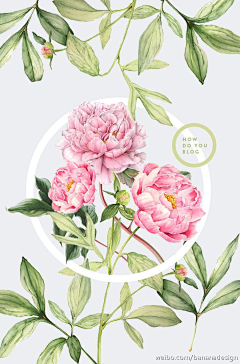 玛卡巴子酱采集到花