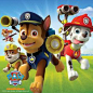 Take a look at the PAW Patrol Collection event on zulily today!