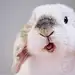 NAKIKI
