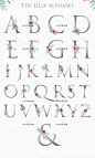 唯美百合花艺术字体26个英文字母花朵贺卡信封装饰图案png330-淘宝网