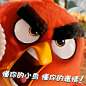 点击查看图片来源