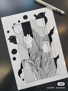 陈多啦采集到花