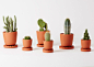 Anderssen & Voll creates tool collection for indoor gardening : Anderssen & Voll have designed a watering can with a precise spout and plant pots especially for cacti and herbs as part of an indoor gardening collection.
