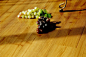 木地板天然木质纹理，为室内带来清新的味道！