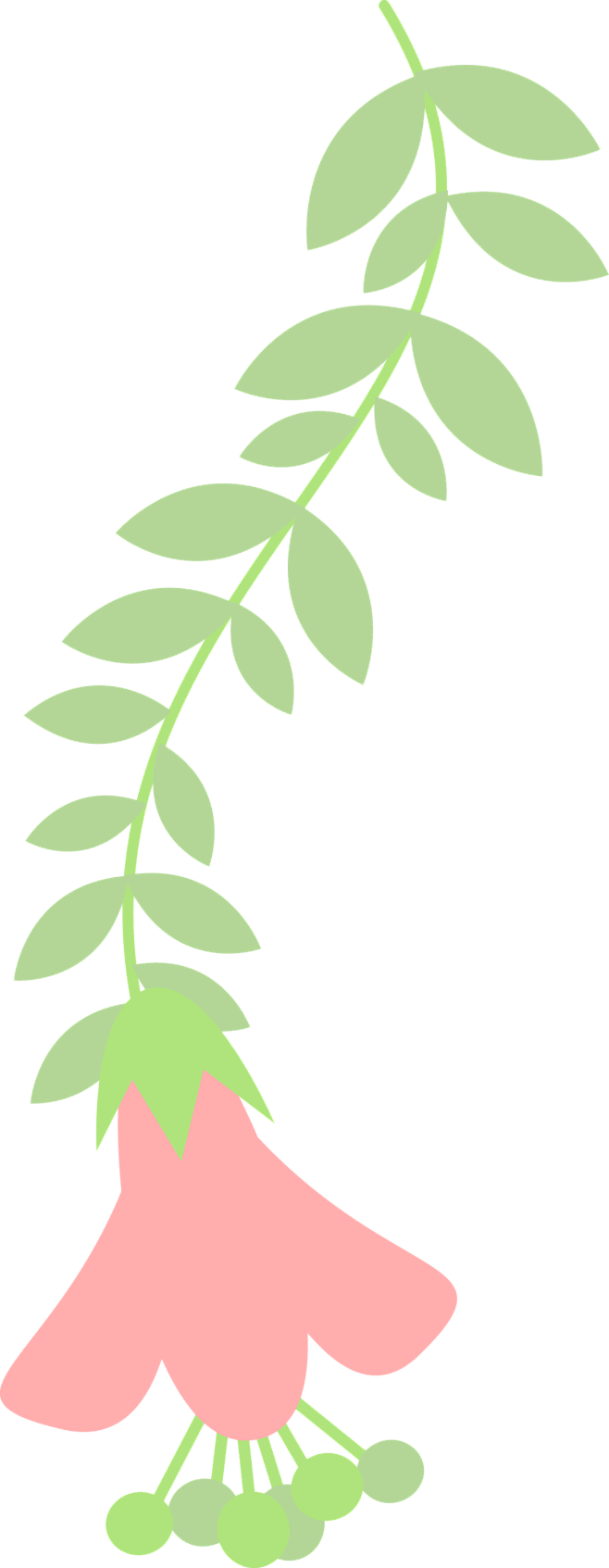 可爱小清新森系简约线条花环藤条兔子花边边...