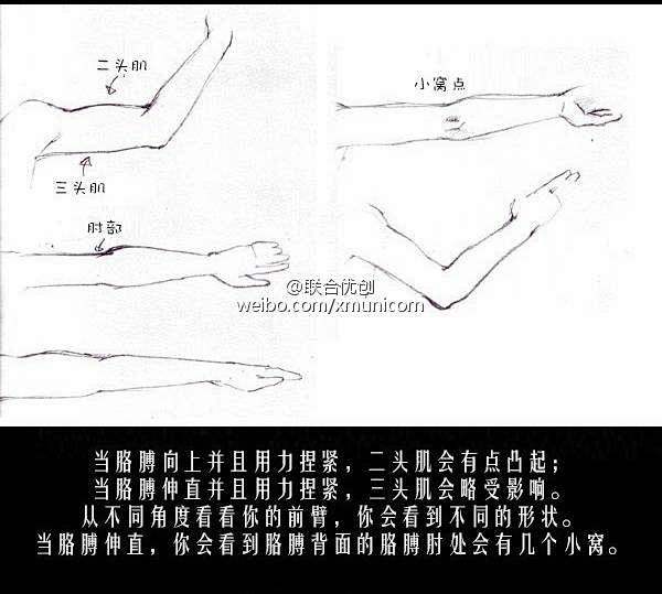 结构、手臂、正面、侧面、背面