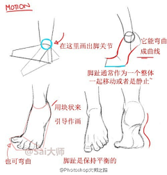 胖柯也想有猫采集到绘画方法