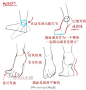 #绘画学习# 本次教程给大家分享脚的设计绘制画法！教你多角度把控脚的画法，非常棒的学习资源，一起来学习~（来源：@Sai大师 ）