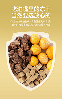 NIGHTBUD采集到宠物参考