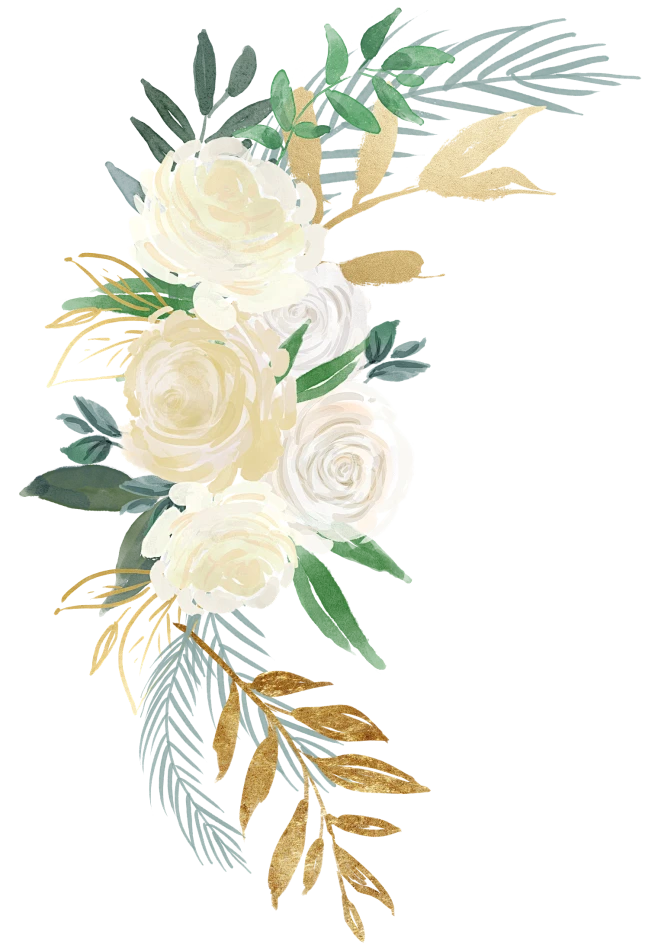 水彩唯美手绘白色婚礼请柬花卉装饰免抠png图案 ps设计素材